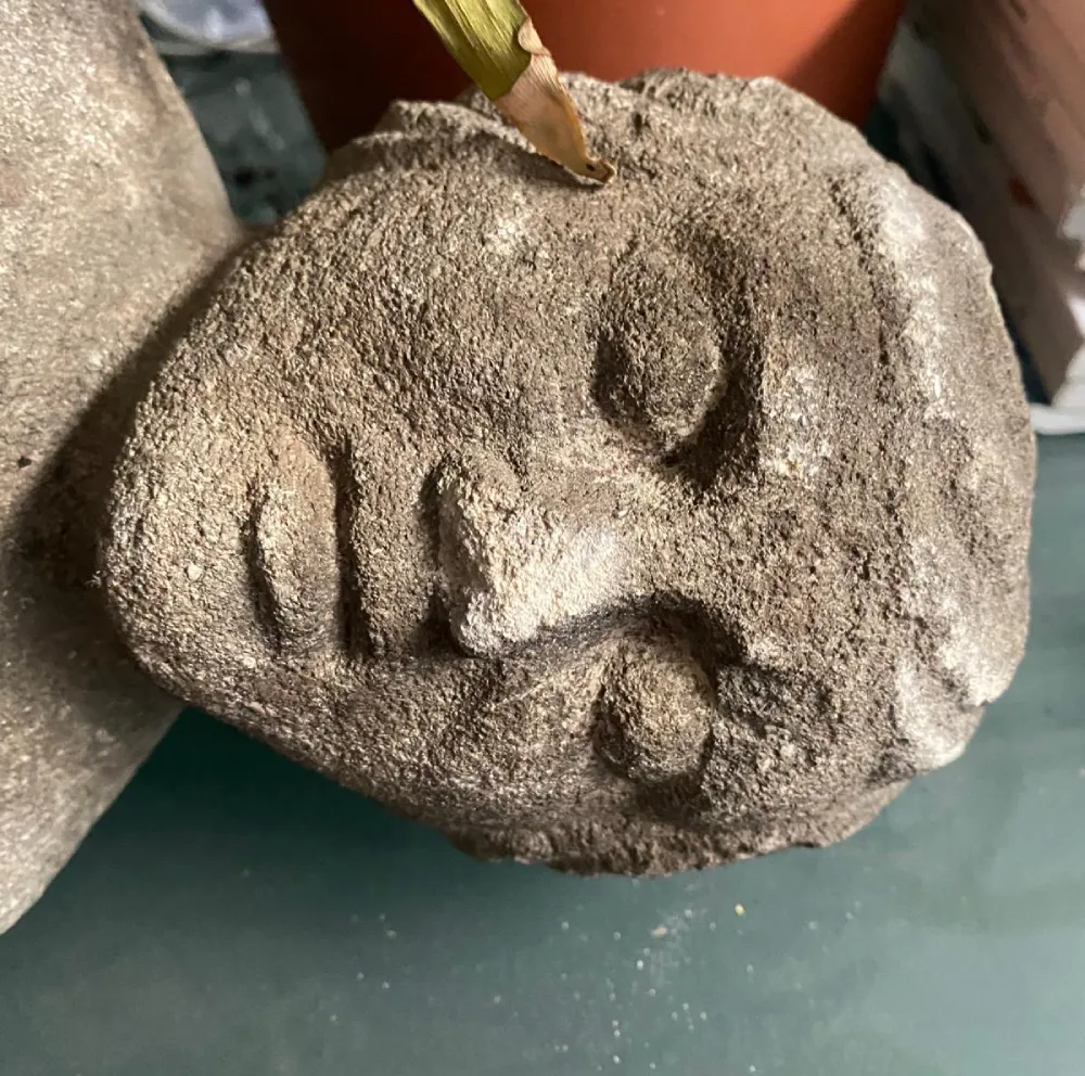 Betriebs- & Geschäftsauflösungen Wien – geordnete Räumung von Gewerbeflächen