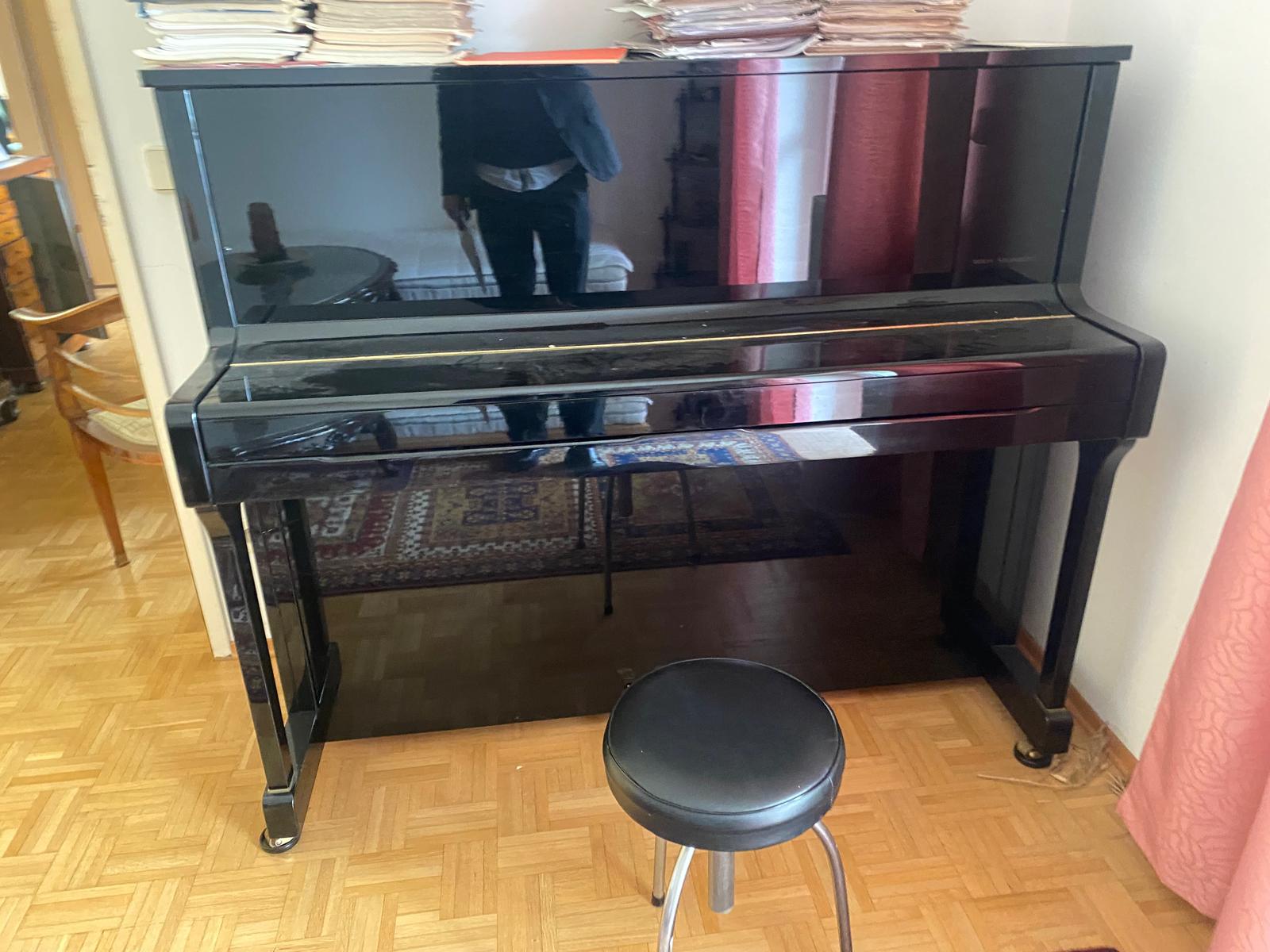 Entrümpelung 1080 Wien Josefstadt – professionelle Unterstützung