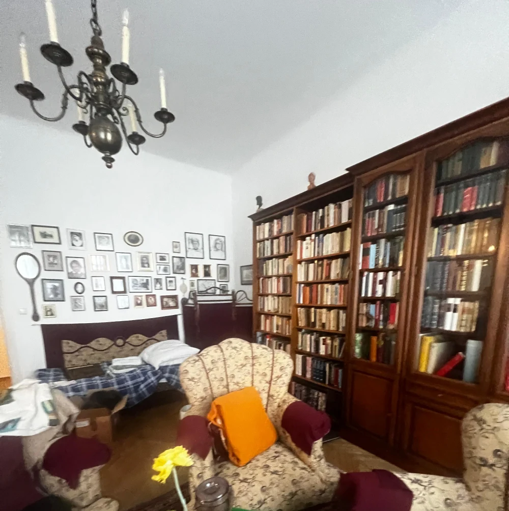 Räumung in 1010 Wien Innere Stadt – strukturierte Durchführung in zentraler Lage